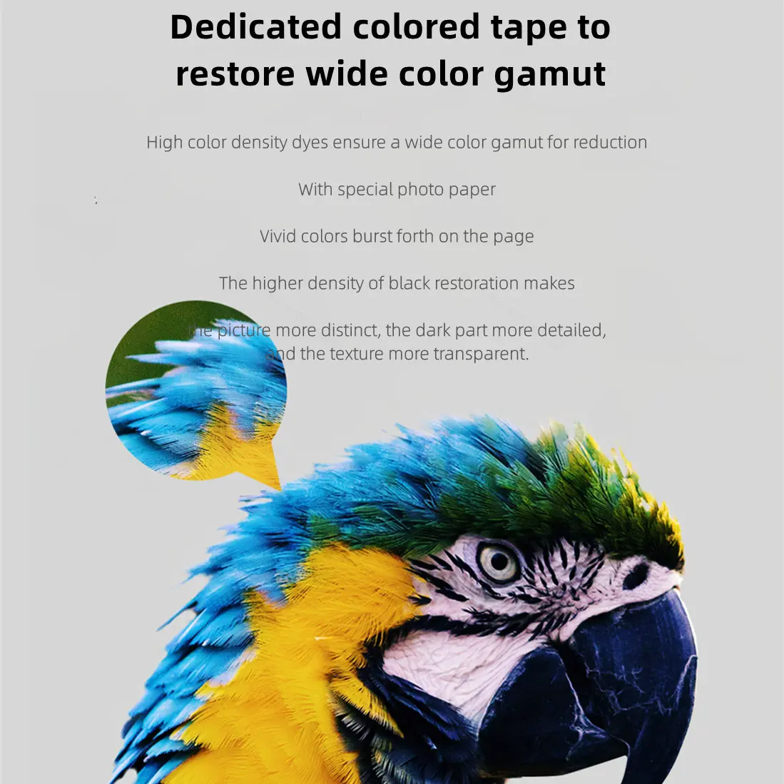 MIjia Photo Printer Dedicated  - Aquarium Xiaomi のレビューと価格