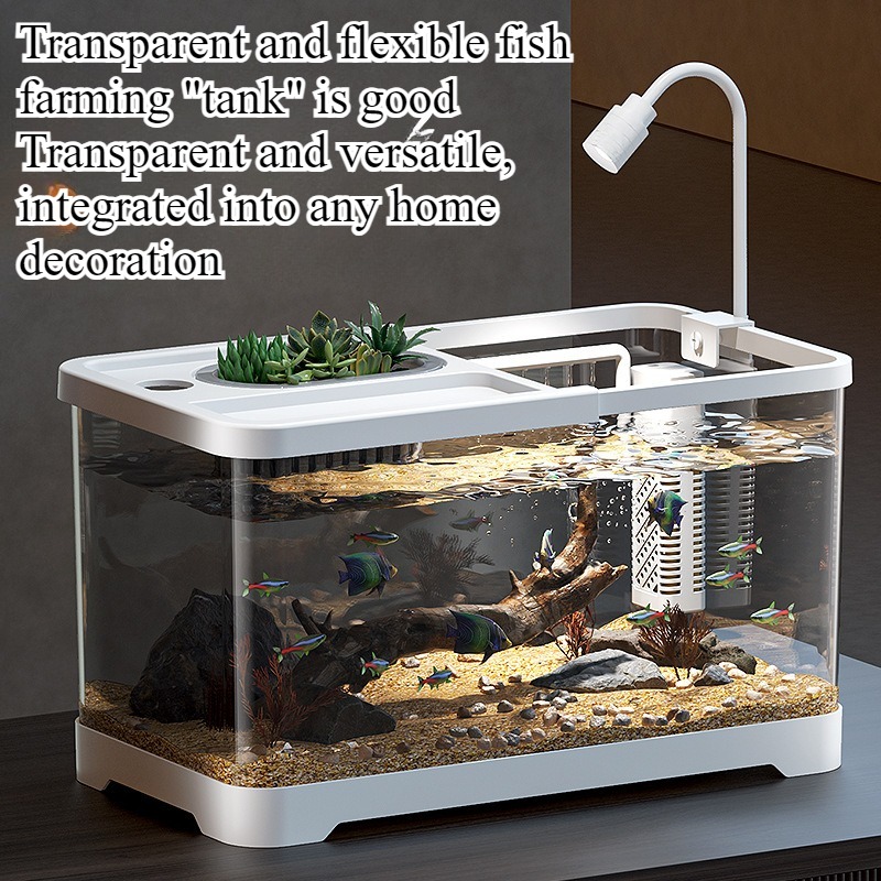Fish tank household aquarium l - Aquarium Fish In Bowl のレビューと価格