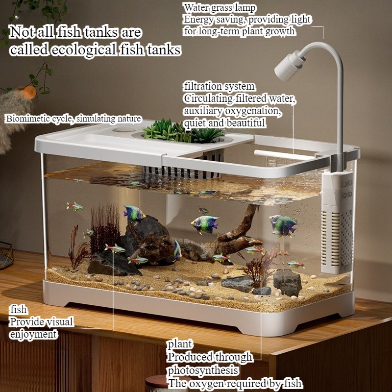 Fish tank household aquarium l - Aquarium Fish In Bowl のレビューと価格