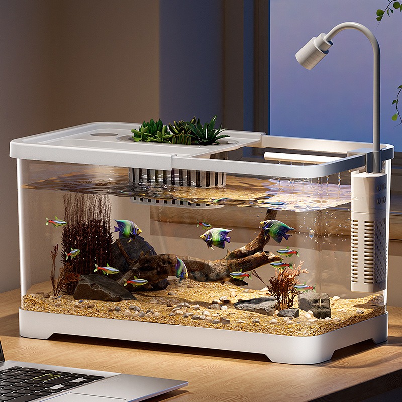 Fish tank household aquarium l - Aquarium Fish In Bowl のレビューと価格
