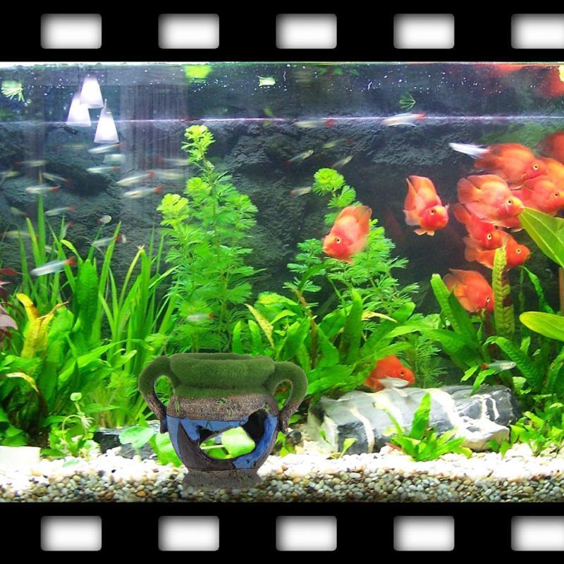 1pc Resin Vase with Moss Aquar - Aquarium Fish Games のレビューと価格