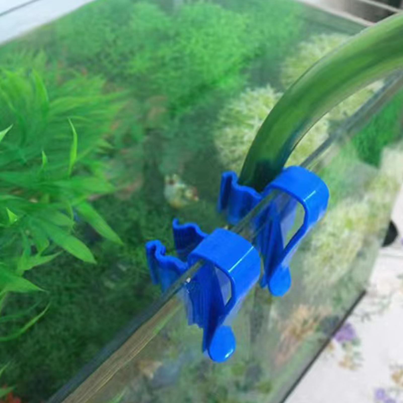 Aquarium Tube Holder Clip Fish - Aquarium Fish Elevator のレビューと価格