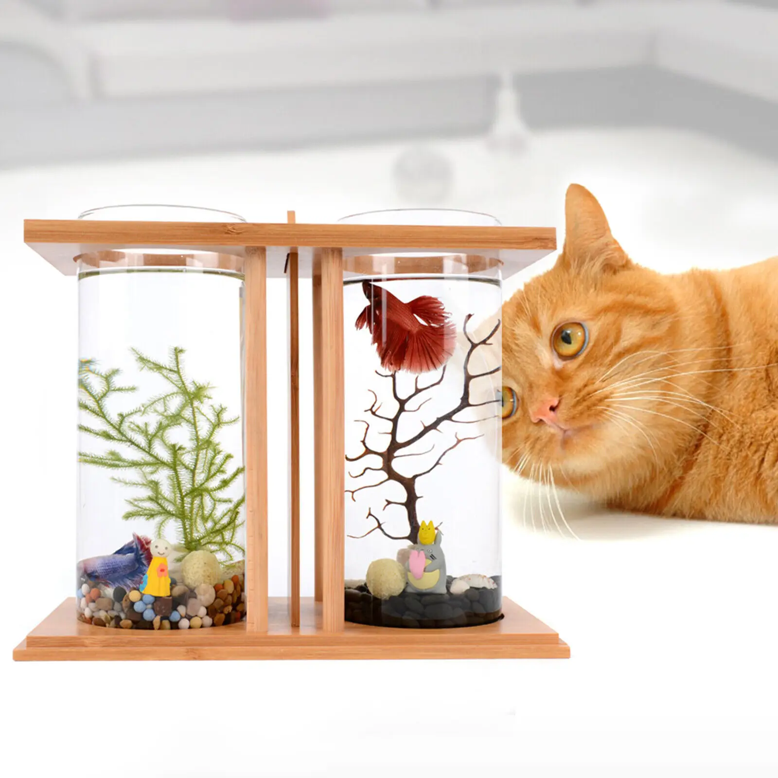 Glass Betta Fish Tank with LED - Aquarium Fish In Bowl のレビューと価格