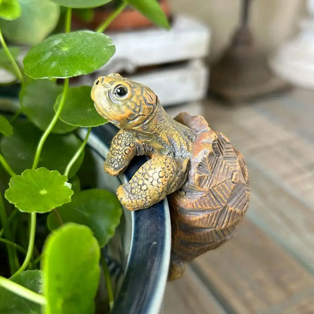 Fishing Turtle Hanging Turtle  - Aquarium Fish Pond のレビューと価格