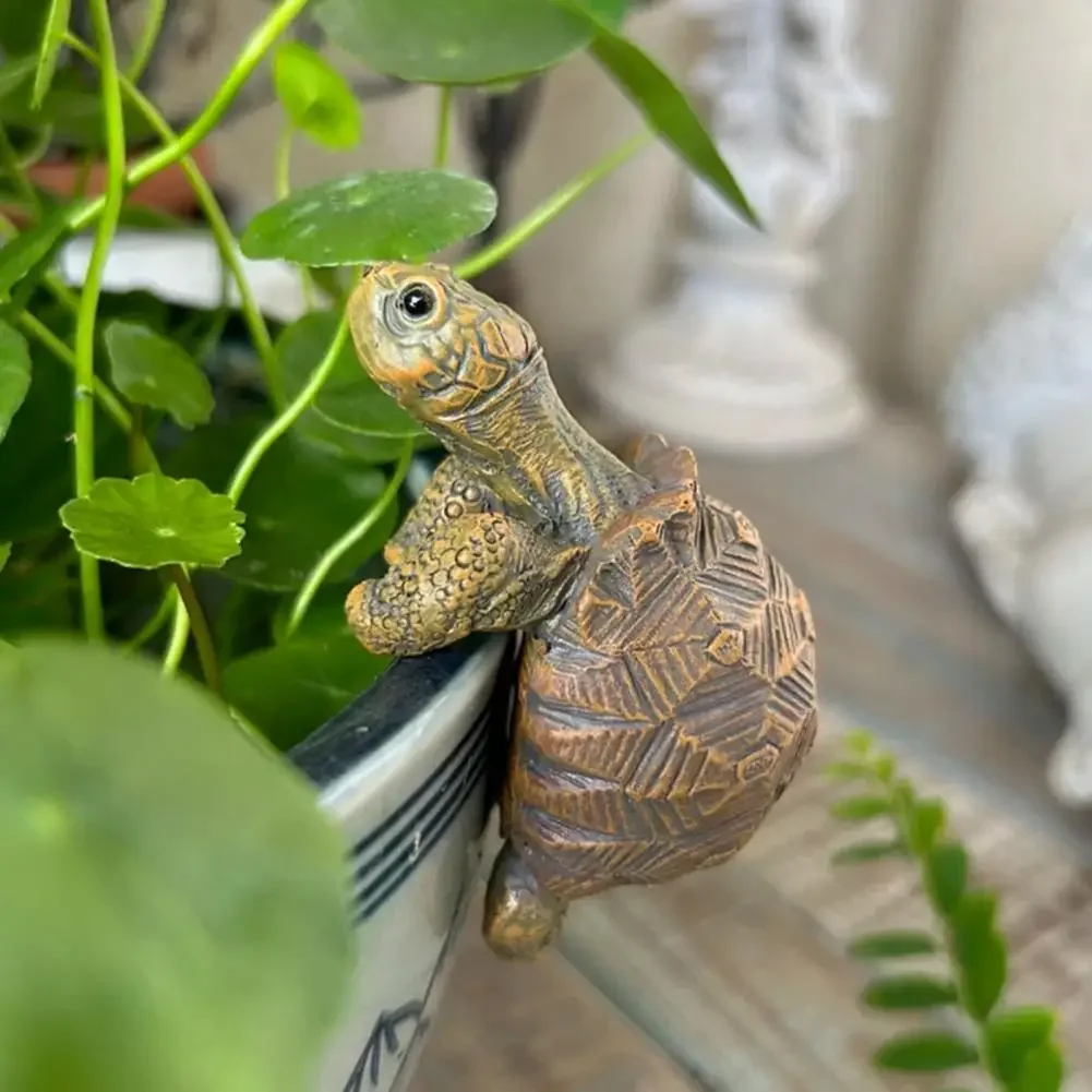 Fishing Turtle Hanging Turtle  - Aquarium Fish Pond のレビューと価格