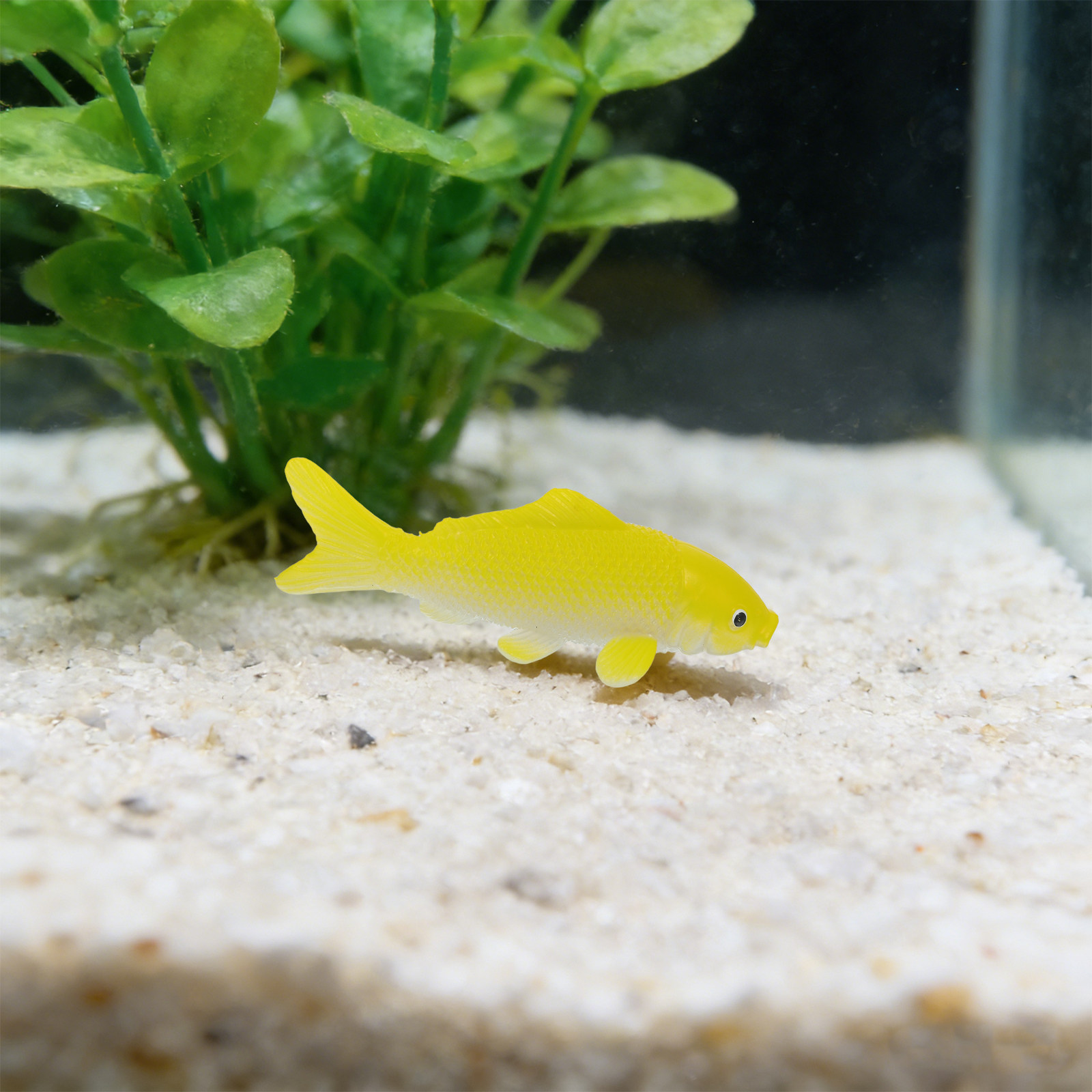 3pcs Fish Crafts Toys Realisti - Aquarium Goldfish のレビューと価格