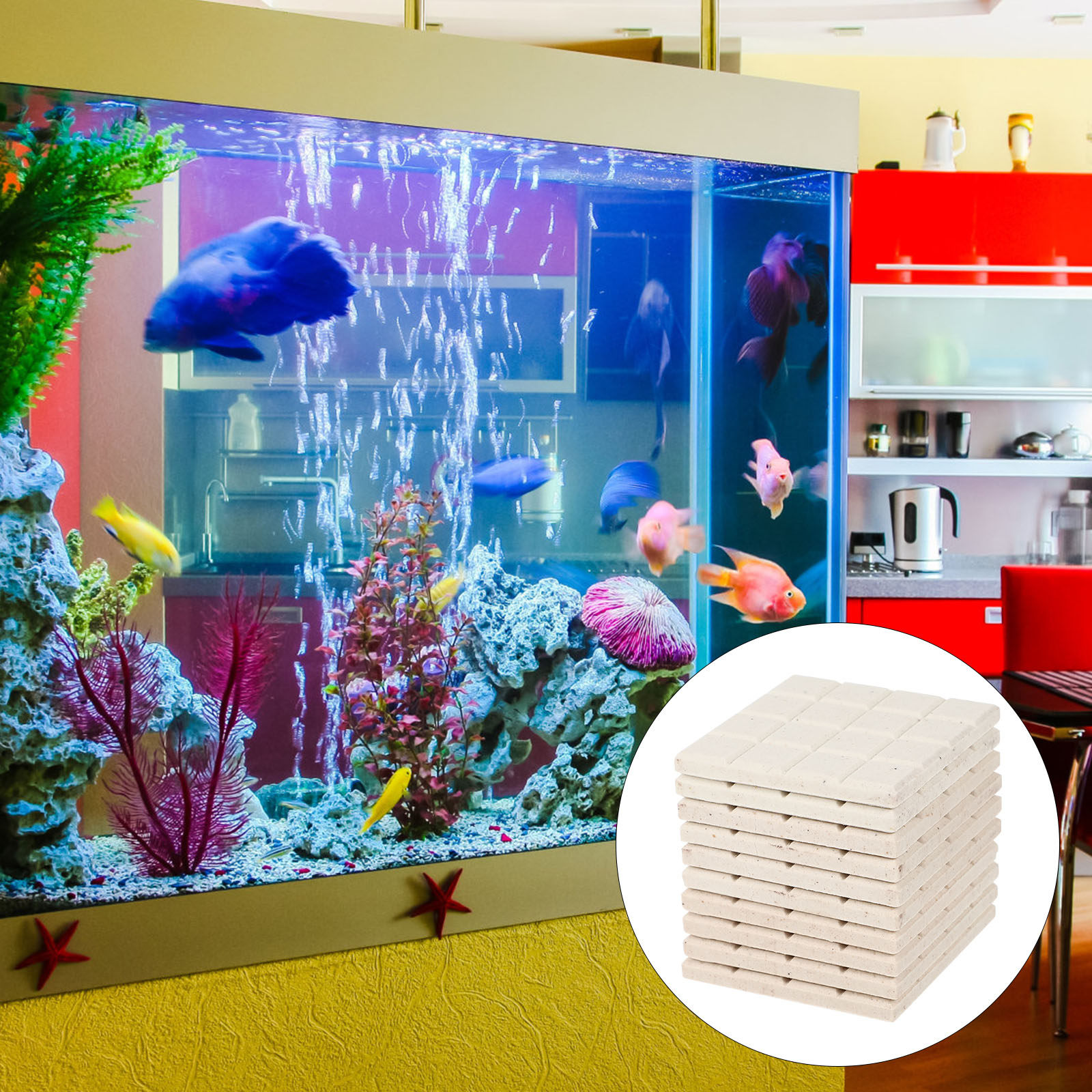 10Pcs Aquarium Coral Holder Ce - Aquarium Fish Elevator のレビューと価格