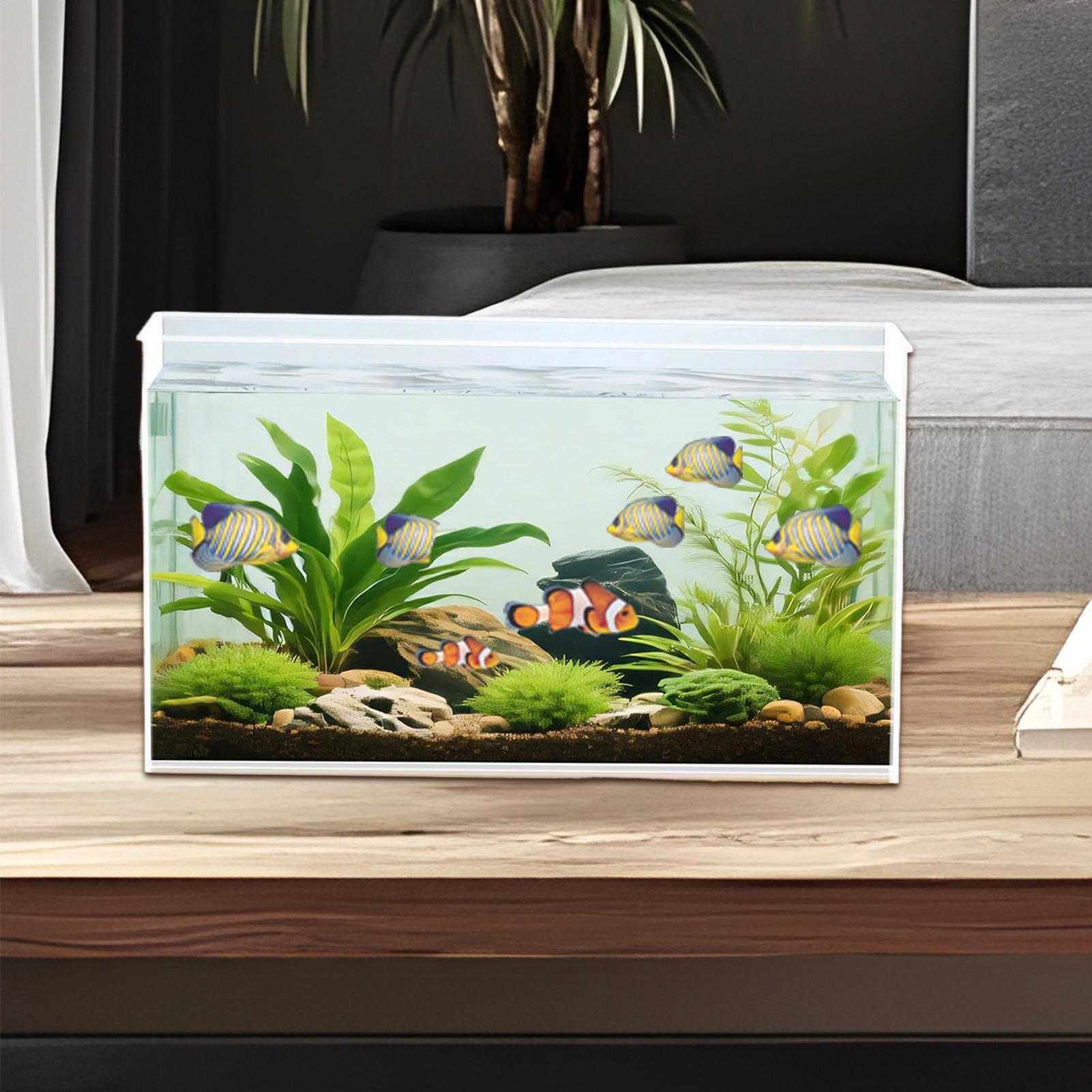 Small Fish Tank Betta Tank Ext - Aquarium Goldfish のレビューと価格