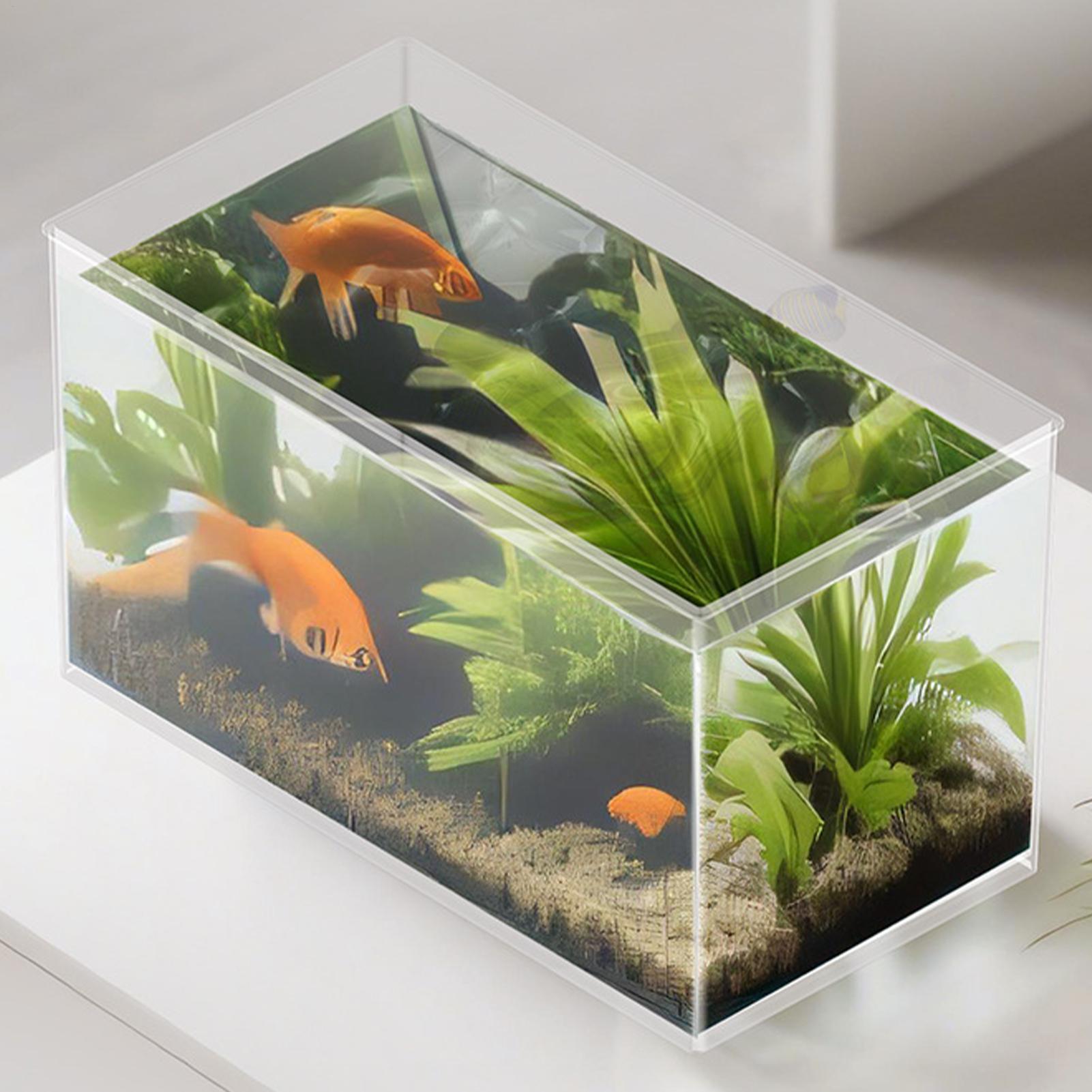 Small Fish Tank Betta Tank Ext - Aquarium Goldfish のレビューと価格