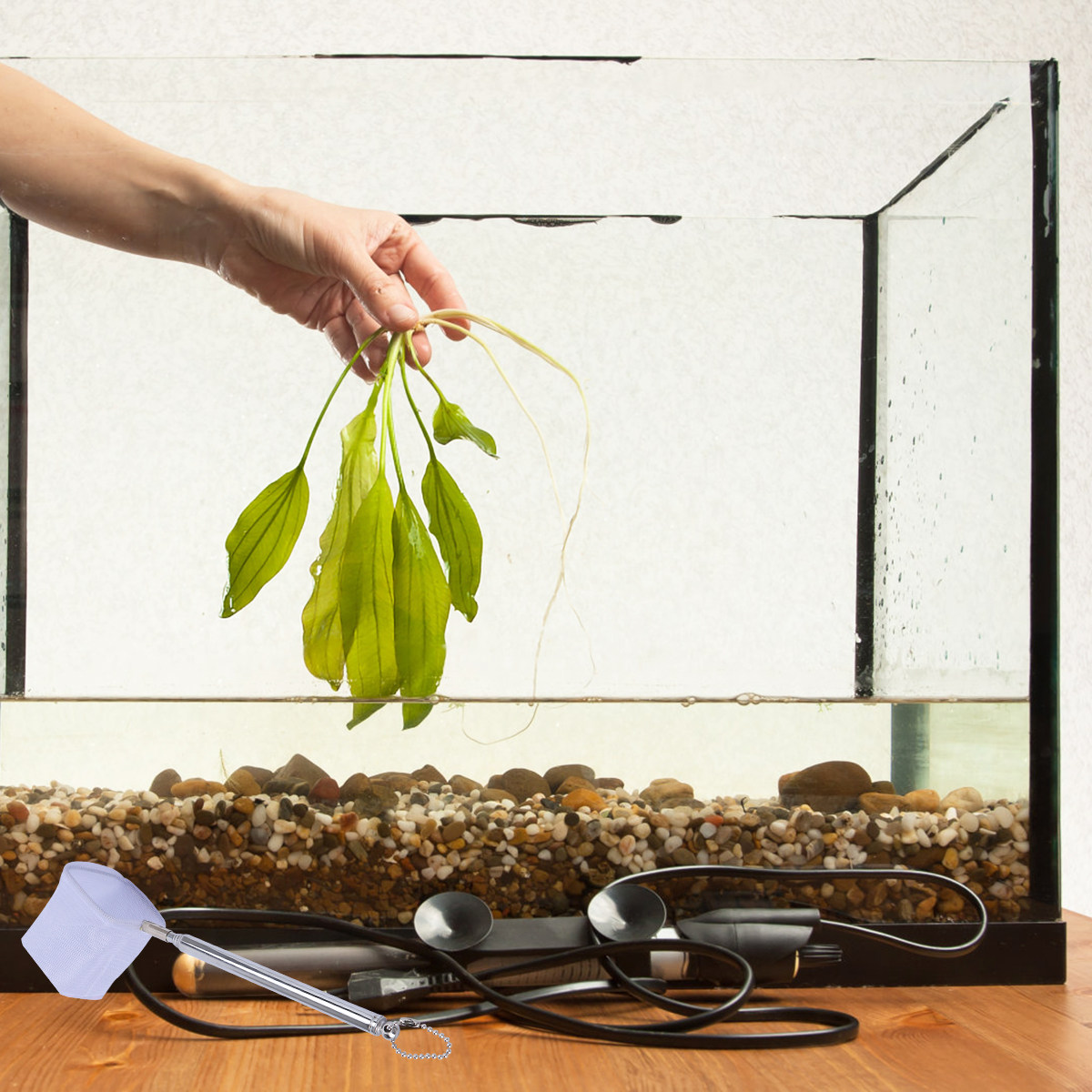 Stainless Steel Telescopic 3D  - Aquarium Fishland のレビューと価格