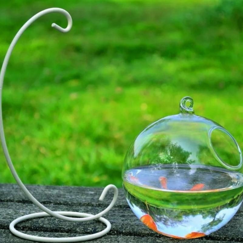 Transparent Spherical Glass Ha - Aquarium Fish In Bowl のレビューと価格