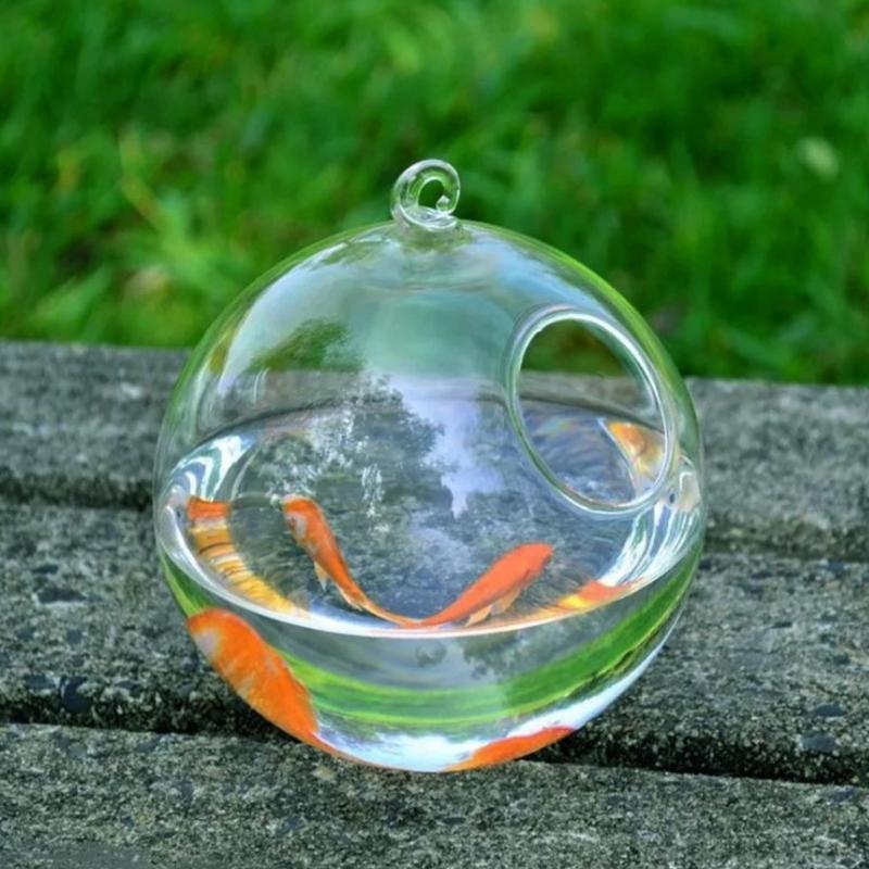 Transparent Spherical Glass Ha - Aquarium Fish In Bowl のレビューと価格