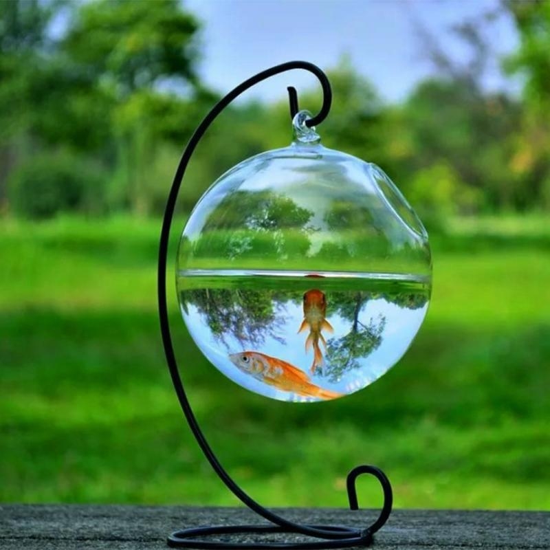 Transparent Spherical Glass Ha - Aquarium Fish In Bowl のレビューと価格