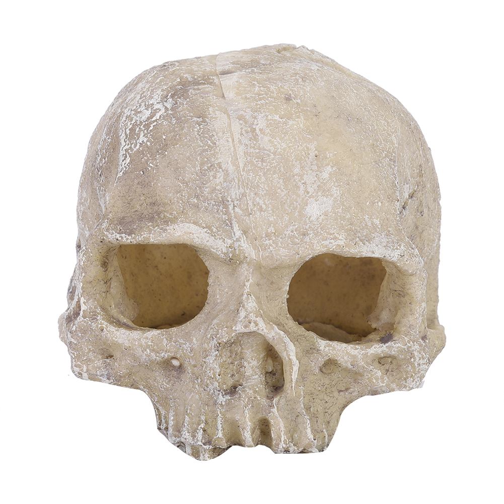 Resin Simulated Head Bone Skul - Aquarium Fish Hiding Places のレビューと価格