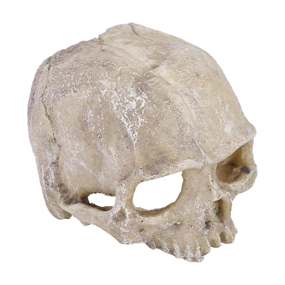 Resin Simulated Head Bone Skul - Aquarium Fish Hiding Places のレビューと価格