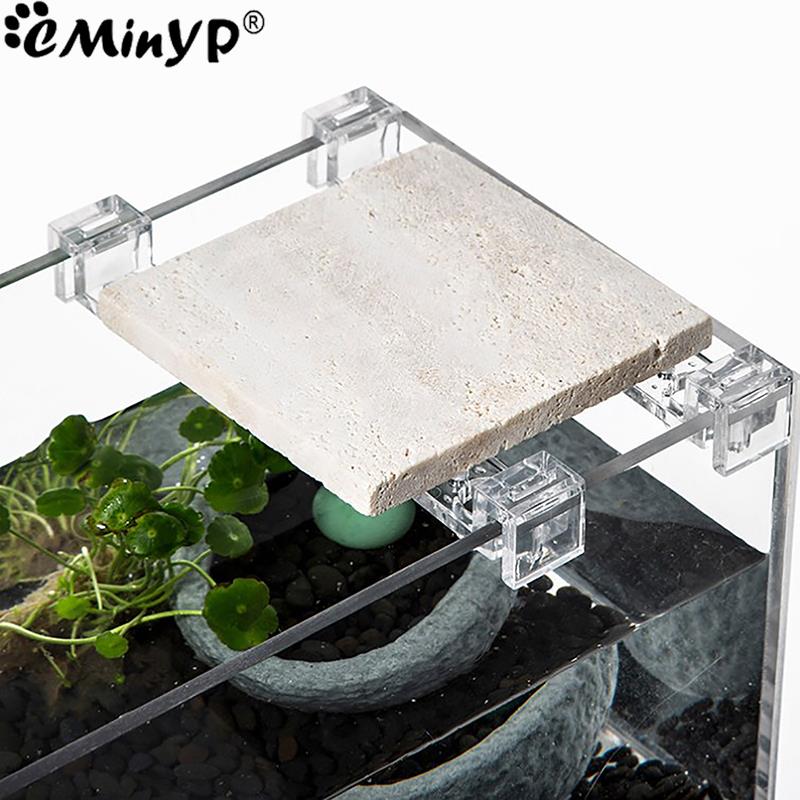 4Pcs Fish Tank Acrylic Clips f - Aquarium Fish Elevator のレビューと価格