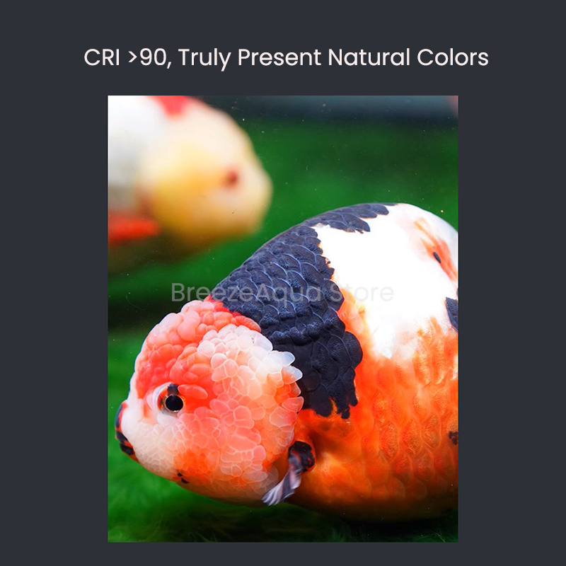 MAYIN Super Colour 100W Freshw - Aquarium Goldfish のレビューと価格