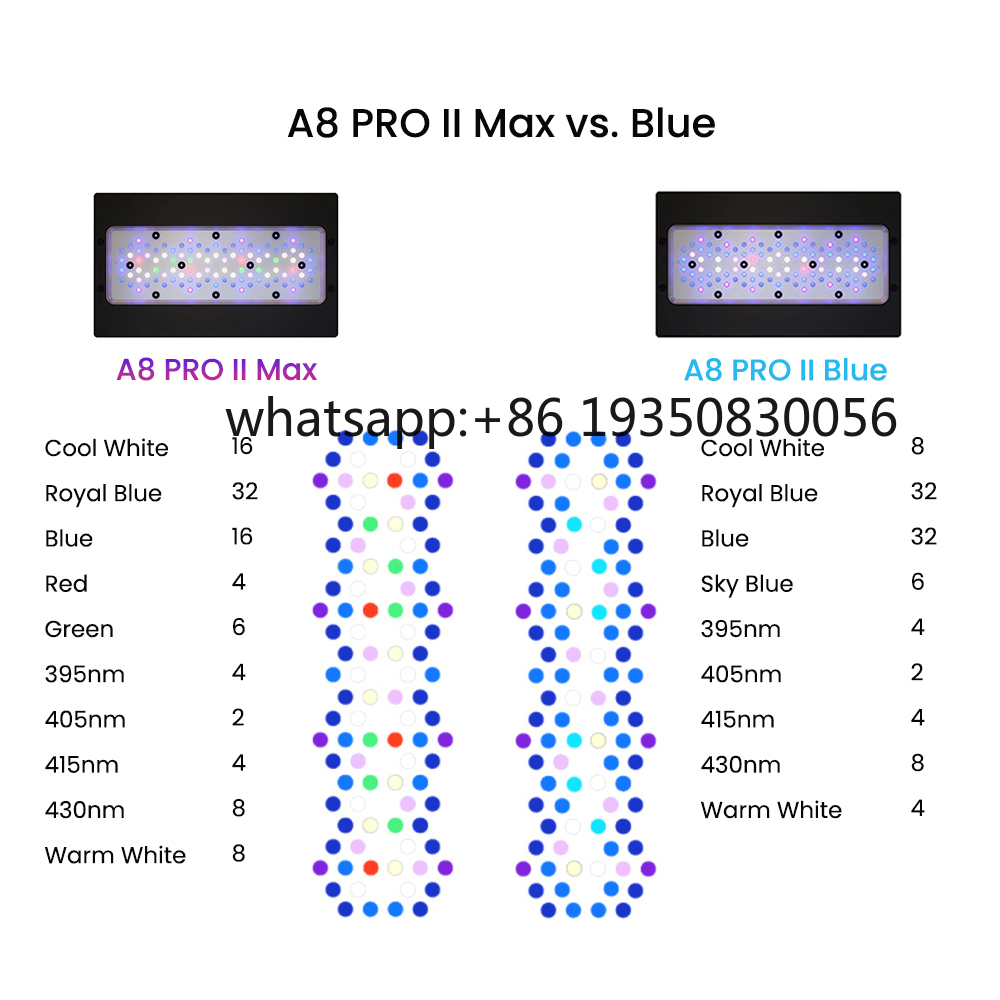 2026-A8 PRO II Max and Blue 24 - Aquarium Fishes のレビューと価格