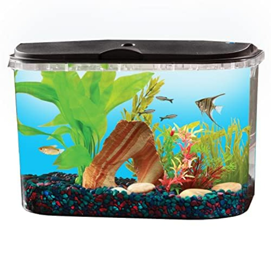5-Gallon Aquarium Kit with LED - Aquarium Fish Variety のレビューと価格