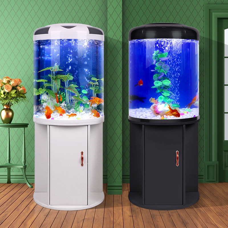 Fish tank living room Semicirc - Aquarium Goldfish のレビューと価格