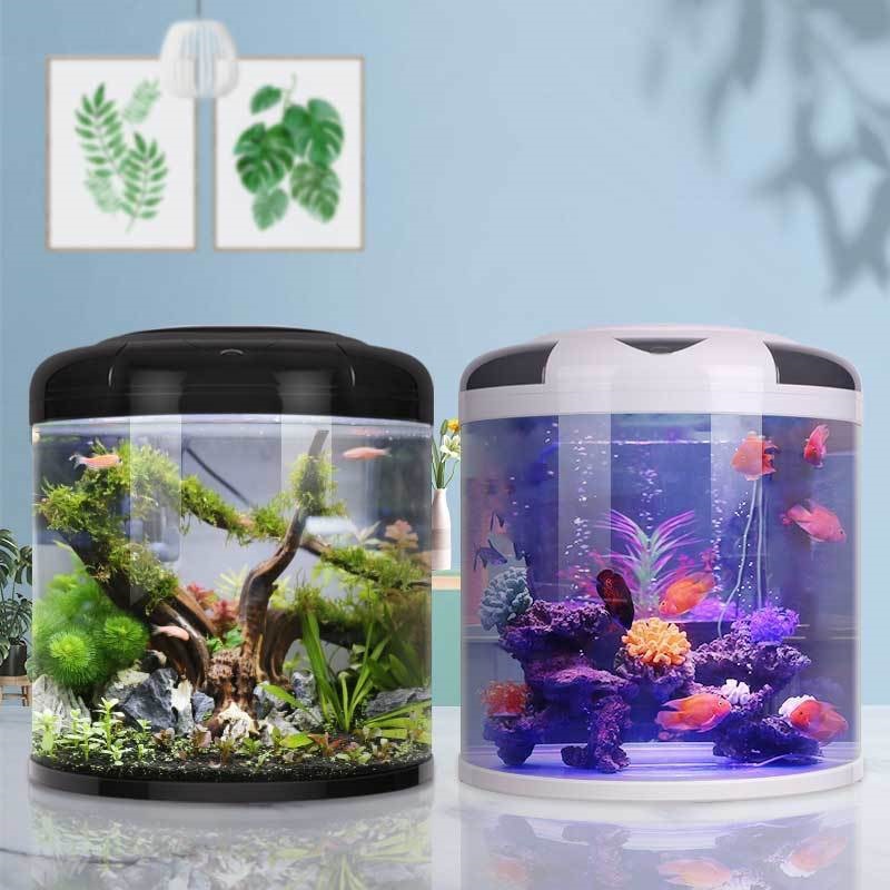 Fish tank living room Semicirc - Aquarium Goldfish のレビューと価格