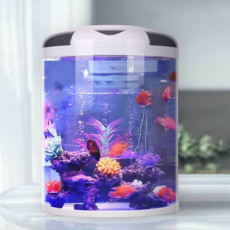 Fish tank living room Semicirc - Aquarium Goldfish のレビューと価格