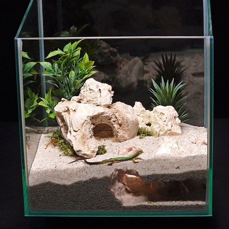 3DPrinted Fish Tank Tunnel She - Aquarium Fish Hiding Places のレビューと価格