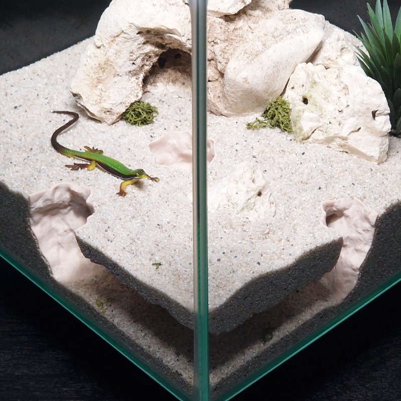 3DPrinted Fish Tank Tunnel She - Aquarium Fish Hiding Places のレビューと価格