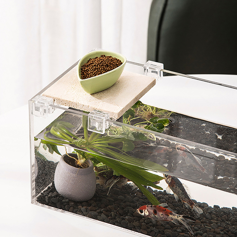 4pcs 6mm/8mm/10mm Fish Tank Ac - Aquarium Fish Elevator のレビューと価格