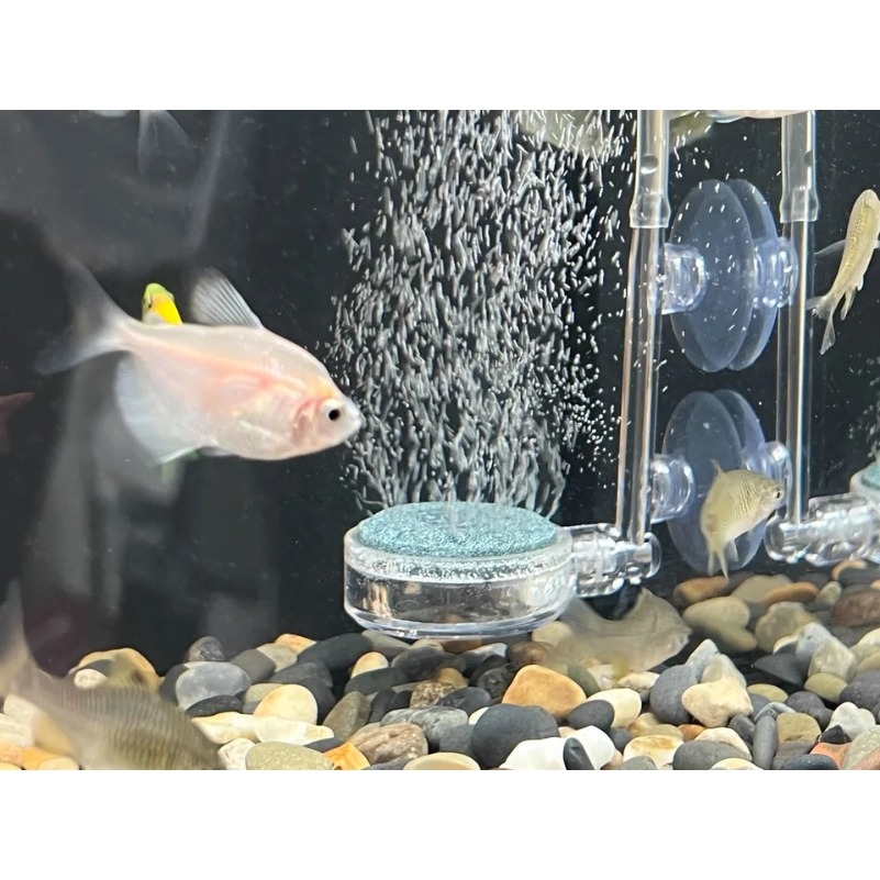 FOR Xiaomi Mijia smart aquariu - Aquarium Xiaomi のレビューと価格