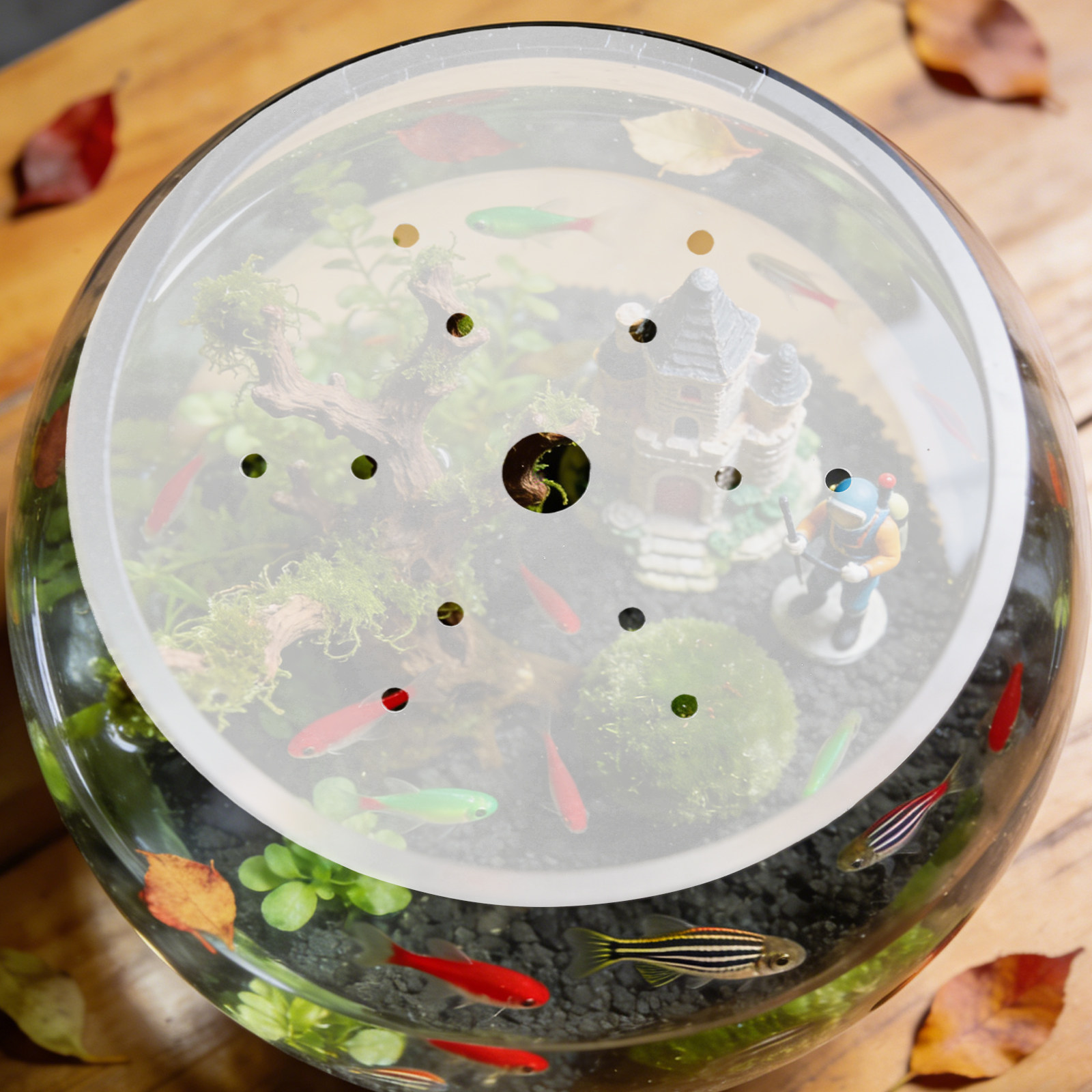 19Cm Clear Acrylic Round Fish  - Aquarium Fish In Bowl のレビューと価格