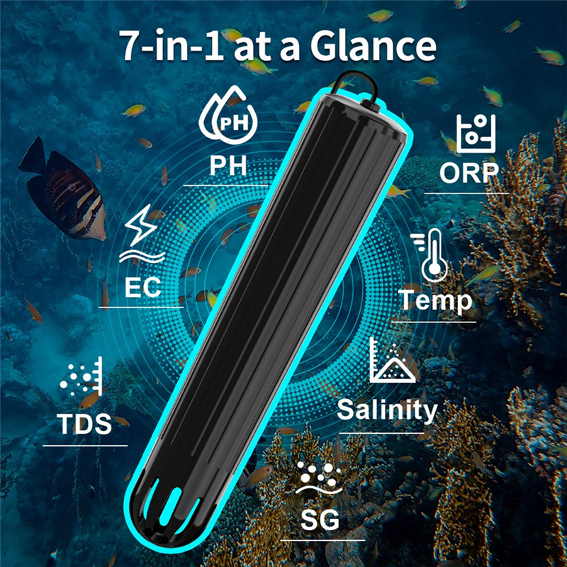 【Flash-Deal!】7 In 1 Online Wif - Aquarium Fish Online のレビューと価格