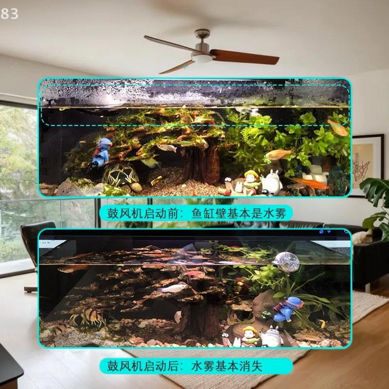 Reliable DC 5V Aquarium Fan fr - Aquarium Xiaomi のレビューと価格