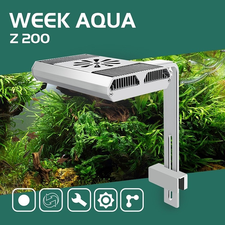 Full Spectrum Fish Tank Light  - Aquarium Fishes のレビューと価格