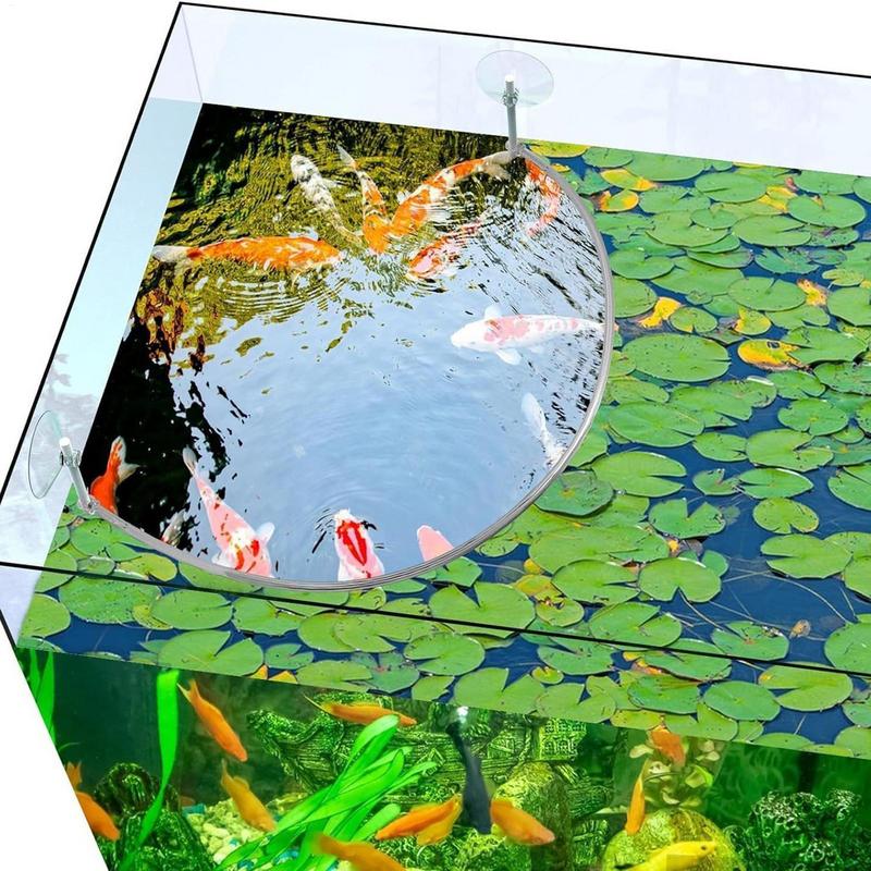 Floating Plant Corral Fish Fee - Aquarium Fish Quality のレビューと価格
