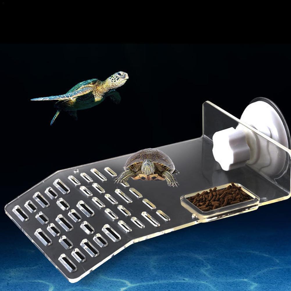 Turtle Pier Dock Basking Platf - Aquarium Fishland のレビューと価格