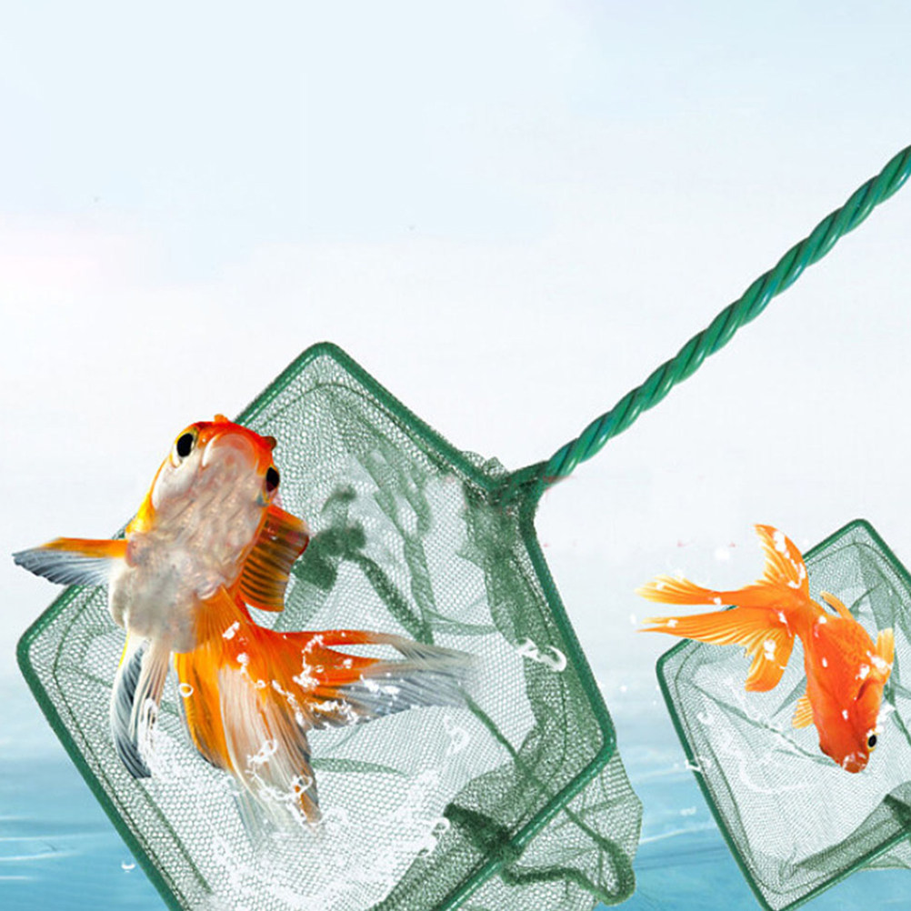 2Pcs Fishing Net Soft Mesh Aqu - Aquarium Fishland のレビューと価格