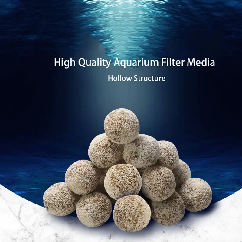 10pcs 20pcs High Quality  Aqua - Aquarium Fish Quality のレビューと価格