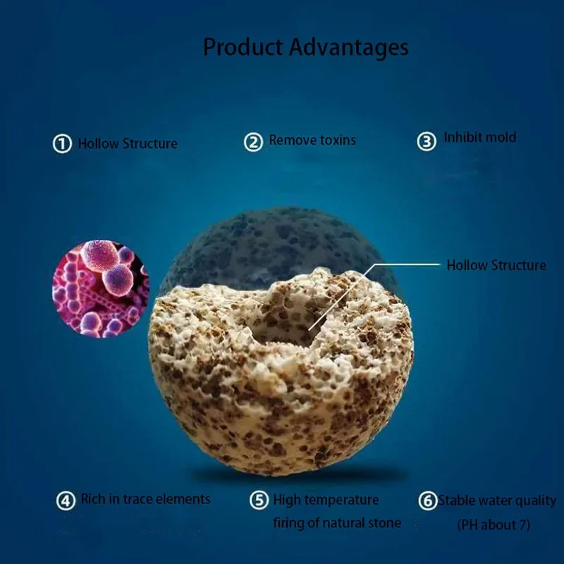 10pcs 20pcs High Quality  Aqua - Aquarium Fish Quality のレビューと価格