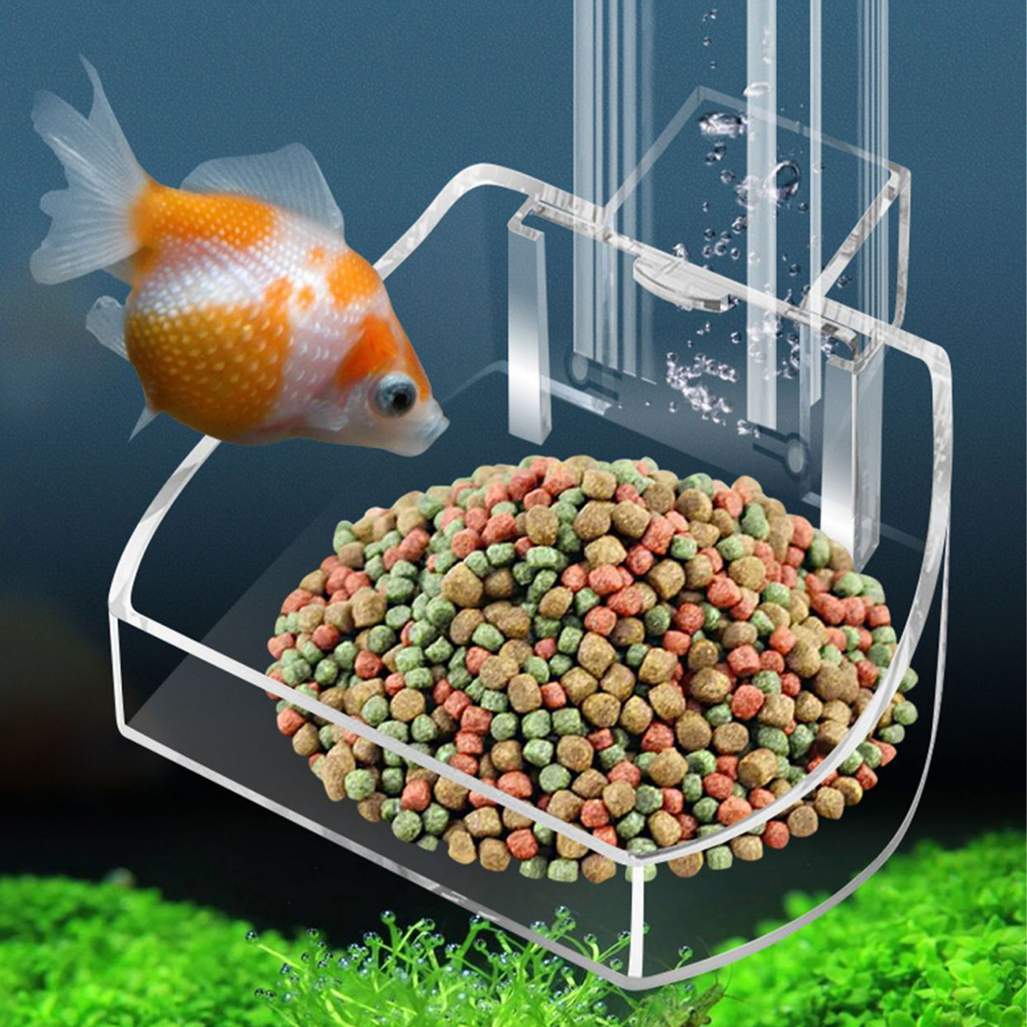Aquarium Acrylic Feeding tube  - Aquarium Fish Variety のレビューと価格