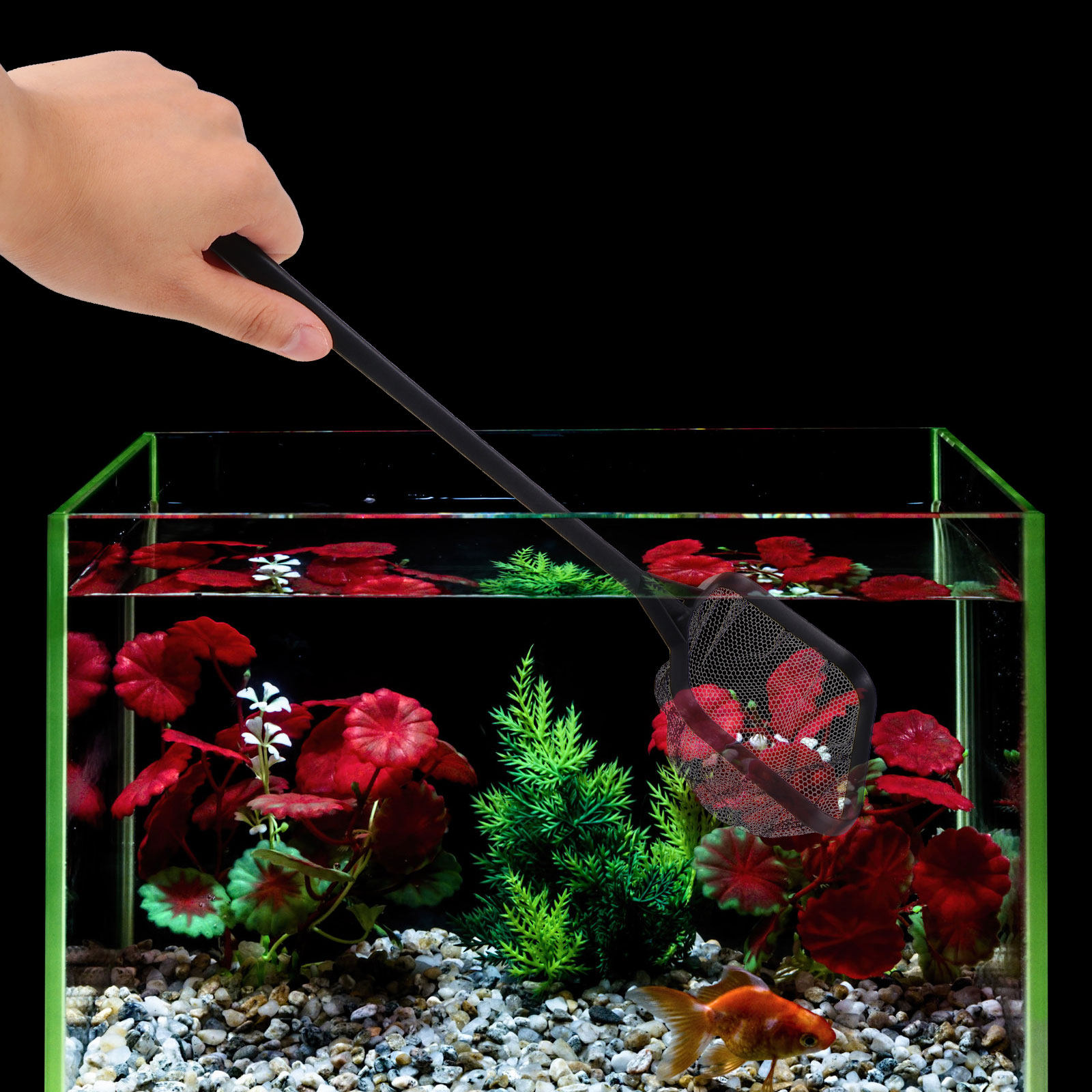 3Pcs Fishing Nets Fish Tank La - Aquarium Fishland のレビューと価格