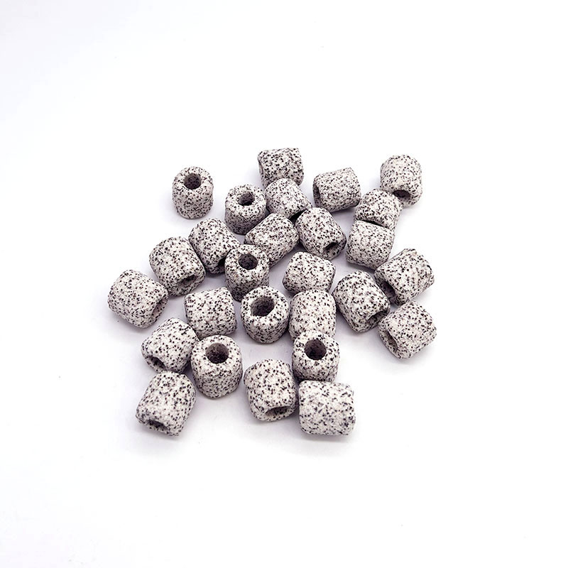 100g 250g 500g Nano Aquarium B - Aquarium Fish Quality のレビューと価格