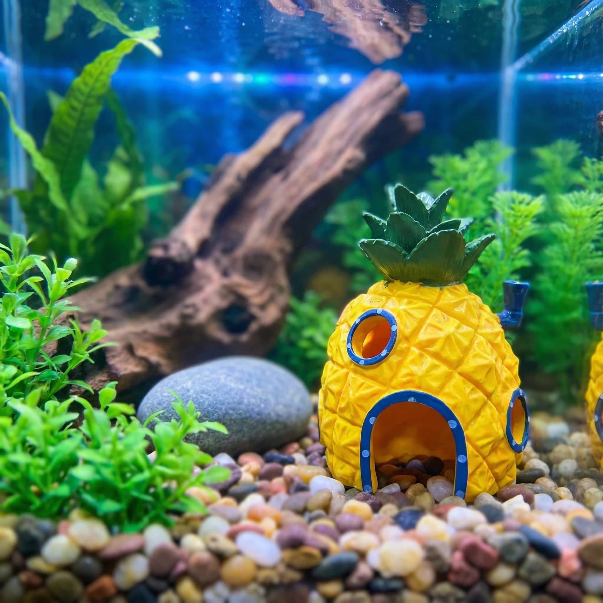 Pineapple House Aquarium Decor - Aquarium Fish Hiding Places のレビューと価格