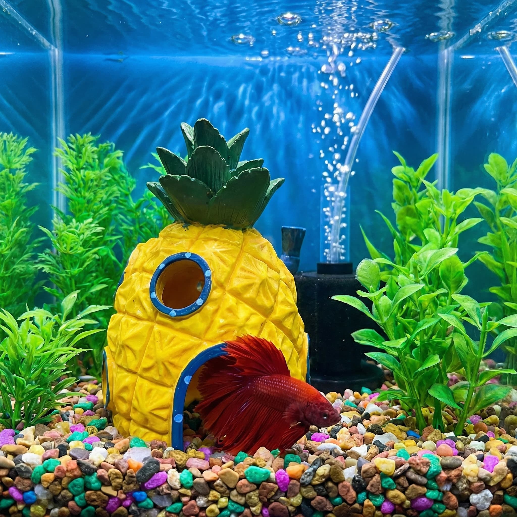 Pineapple House Aquarium Decor - Aquarium Fish Hiding Places のレビューと価格