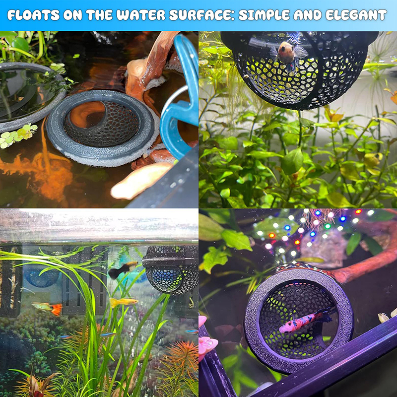 Ring FLoatinG Betta Hide Shrim - Aquarium Fish Hiding Places のレビューと価格