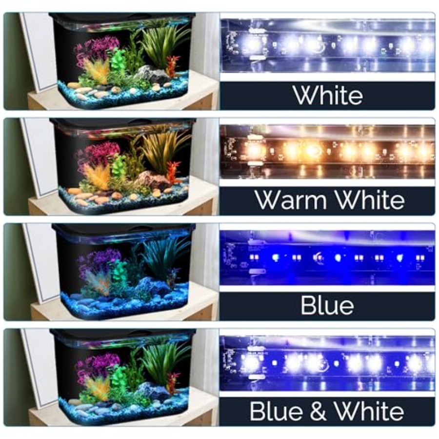 5-Gallon Aquarium Kit with LED - Aquarium Fish Variety のレビューと価格