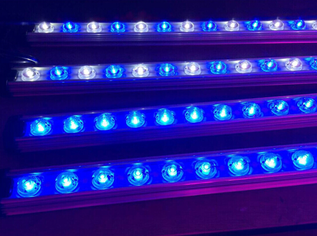 Aquarium Led Lighting 30w 45w  - Aquarium Fishes のレビューと価格