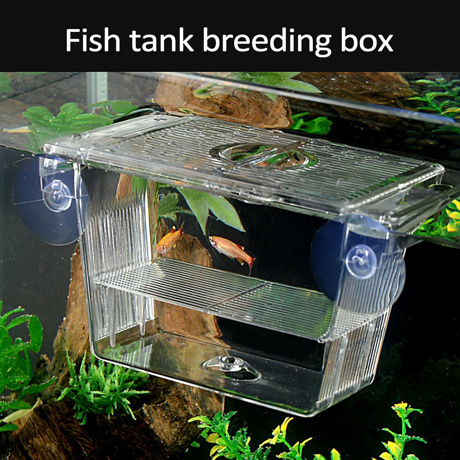 Breeder Box for Fish Tank Tran - Aquarium Fish In Bowl のレビューと価格