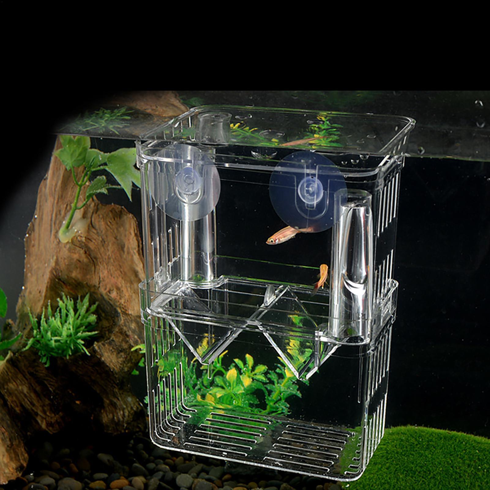 Breeder Box for Fish Tank Tran - Aquarium Fish In Bowl のレビューと価格