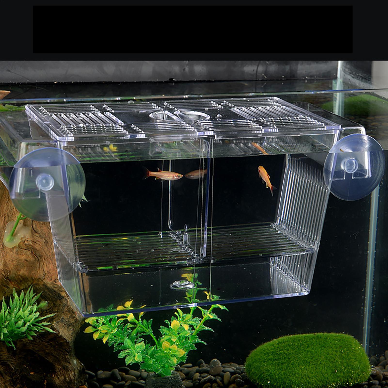 Breeder Box for Fish Tank Tran - Aquarium Fish In Bowl のレビューと価格